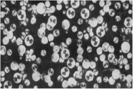 Алюмосиликатные полые микросферы под микроскопом (отражённый свет) (Кизилыитейн и др„ 1995).
