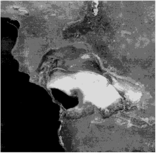Высыхание залива Кара-Богаз-Гол к 1977 г. Космическое изображение (черный цвет — вода в Каспии и в заливе, белый — соляной пласт на осушенном днище залива).