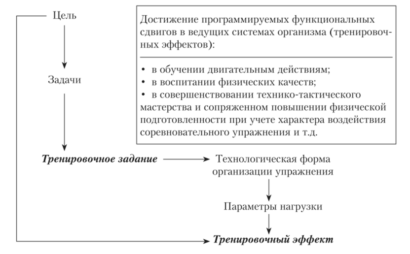 Структура тренировочного задания (Г. Н. Германов, 2011—2017).
