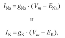 Расчет Na+-и К+-проводимостей. Математическая модель потенциала действия Ходжкина — Хаксли.