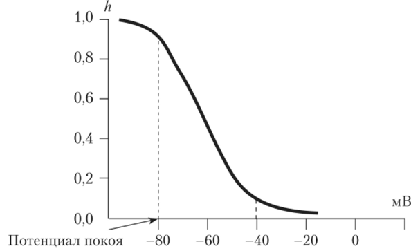 Потенциал-зависимость A-коэффициента, отражающего число Na-кaнaлoв с открытой инактивационной А-створкой.