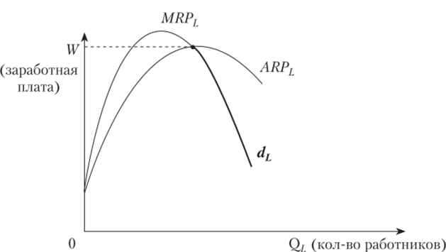 Предельный продукт труда (MRP), средний продукт труда (ARP) и кривая спроса фирмы на труд (d).