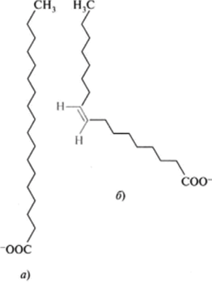 Пространственная структура насыщенной (а) и щ/с-изомера ненасыщенной моносновой (б) жирных кислот.