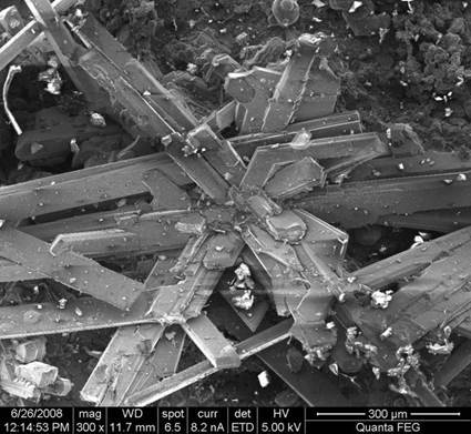наноструктурный титан под оптическим микроскопом.