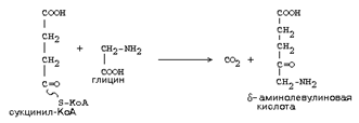 Окислительное декарбоксилирование пировиноградной и — кетоглутаровой кислот в митохондриях.