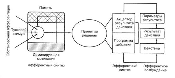 Схема центральной архитектоники поведенческого акта (по П.К. Анохину, с изменениями).