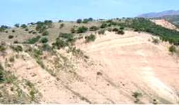 Рис. 1 Палеопочвенные горизонты в лёссах четвертичного периода разрезов Апартак и Аркутсай Чирчик-Ахангаранского региона.