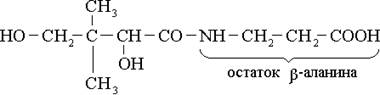 Структурная формула пантотеновой кислоты.