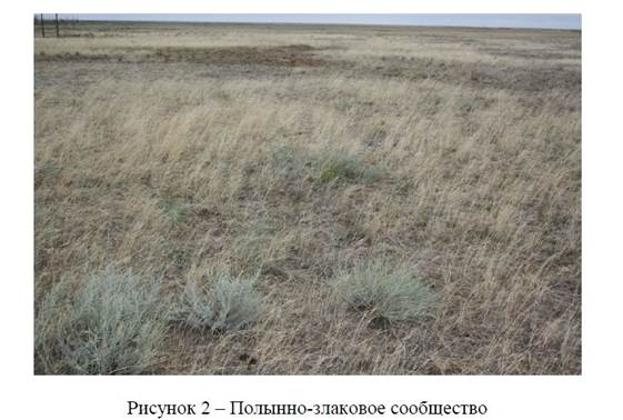 Характеристика растительных сообществ в местообитаниях сайгаков уральской популяции.