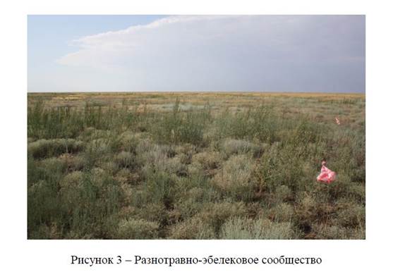 Характеристика растительных сообществ в местообитаниях сайгаков уральской популяции.