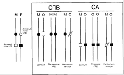 Три класса мутаций при Синдроме Ангельмана; М-мать, О-отец; ОРД - однородительская дисомия.