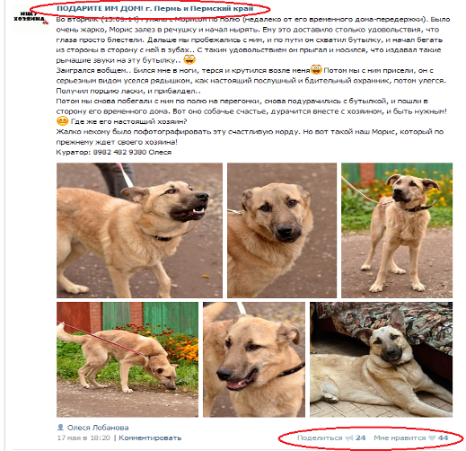 Пример группы Вконтакте [25].