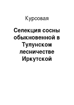 Курсовая: Селекция сосны обыкновенной в Тулунском лесничестве Иркутской области