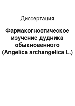 Диссертация: Фармакогностическое изучение дудника обыкновенного (Angelica archangelica L.)