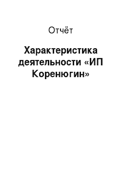 Отчёт: Характеристика деятельности «ИП Коренюгин»