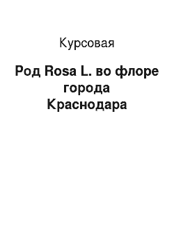 Курсовая: Род Rosa L. во флоре города Краснодара