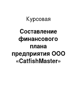 Курсовая: Составление финансового плана предприятия ООО «CatfishMaster»