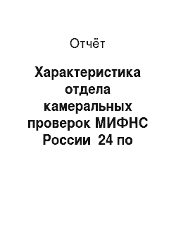 Отчёт: Характеристика отдела камеральных проверок МИФНС России №24 по Санкт-Петербургу