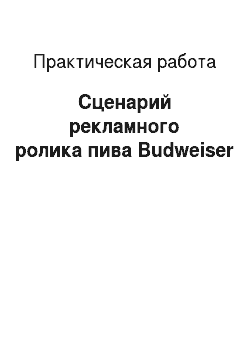 Практическая работа: Сценарий рекламного ролика пива Budweiser