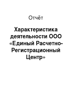 Отчёт: Характеристика деятельности ООО «Единый Расчетно-Регистрационный Центр»