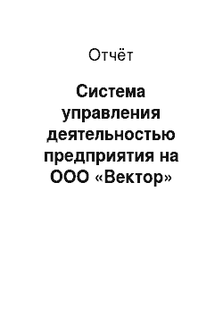 Отчёт: Система управления деятельностью предприятия на ООО «Вектор»
