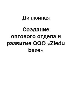 Дипломная: Создание оптового отдела и развитие ООО «Ziedu baze»