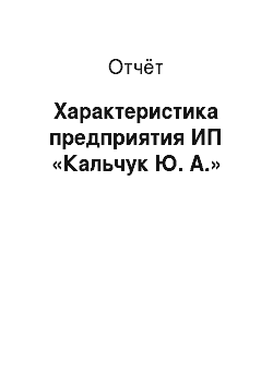 Отчёт: Характеристика предприятия ИП «Кальчук Ю. А.»