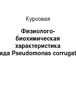 Курсовая: Физиолого-биохимическая характеристика вида Pseudomonas corrugata
