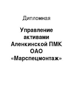 Дипломная: Управление активами Аленкинской ПМК ОАО «Марспецмонтаж»
