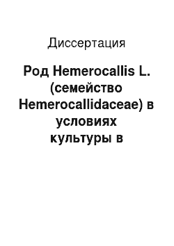 Диссертация: Род Hemerocallis L. (семейство Hemerocallidaceae) в условиях культуры в Приморском крае
