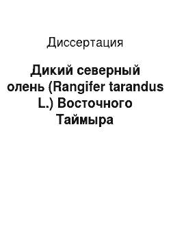 Диссертация: Дикий северный олень (Rangifer tarandus L.) Восточного Таймыра