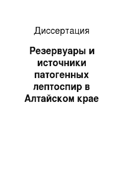 Диссертация: Резервуары и источники патогенных лептоспир в Алтайском крае