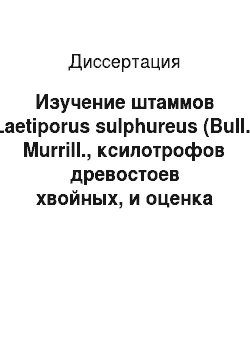 Диссертация: Изучение штаммов Laetiporus sulphureus (Bull.) Murrill., ксилотрофов древостоев хвойных, и оценка перспектив их использования в биотехнологии