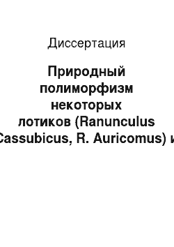 Диссертация: Природный полиморфизм некоторых лотиков (Ranunculus Cassubicus, R. Auricomus) и вопросы интродукции