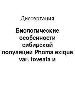 Диссертация: Биологические особенности сибирской популяции Phoma exiqua var. foveata и совершенствование системы защиты картофеля от фомоза