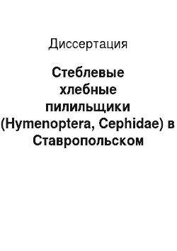 Диссертация: Стеблевые хлебные пилильщики (Hymenoptera, Cephidae) в Ставропольском крае и совершенствование мер защиты от них