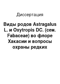 Диссертация: Виды родов Astragalus L. и Oxytropis DC. (сем. Fabaceae) во флоре Хакасии и вопросы охраны редких видов
