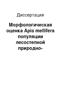 Диссертация: Морфологическая оценка Apis mellifera популяции лесостепной природно-сельскохозяйственной зоны Республики Башкортостан