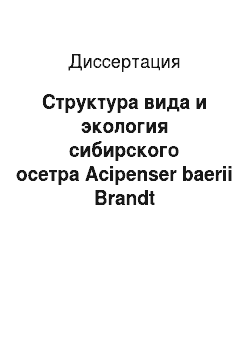 Диссертация: Структура вида и экология сибирского осетра Acipenser baerii Brandt