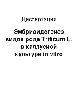 Диссертация: Эмбриоидогенез видов рода Triticum L. в каллусной культуре in vitro
