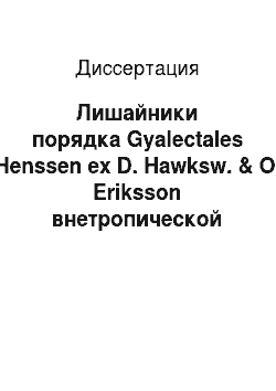 Диссертация: Лишайники порядка Gyalectales Henssen ex D. Hawksw. & O. Eriksson внетропической Евразии