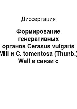 Диссертация: Формирование генеративных органов Cerasus vulgaris Mill и C. tomentosa (Thunb.) Wall в связи с водным режимом