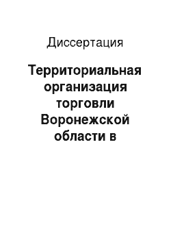 Диссертация: Территориальная организация торговли Воронежской области в переходной экономике