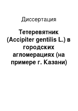 Диссертация: Тетеревятник (Accipiter gentilis L.) в городских агломерациях (на примере г. Казани) , его экология и практическое применение