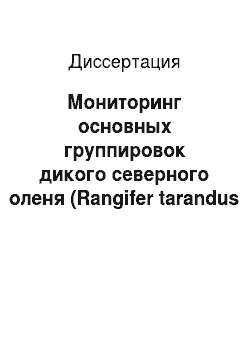 Диссертация: Мониторинг основных группировок дикого северного оленя (Rangifer tarandus L.) в экосистеме Западного Таймыра