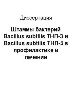 Диссертация: Штаммы бактерий Bacillus subtilis ТНП-3 и Bacillus subtilis ТНП-5 в профилактике и лечении диарейных болезней серебристо-черных лисиц