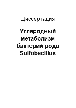 Диссертация: Углеродный метаболизм бактерий рода Sulfobacillus