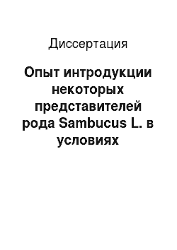 Диссертация: Опыт интродукции некоторых представителей рода Sambucus L. в условиях Белгородской области