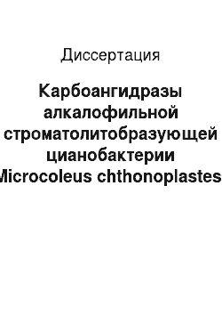 Диссертация: Карбоангидразы алкалофильной строматолитобразующей цианобактерии Microcoleus chthonoplastes: Идентификация и локализация