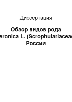 Диссертация: Обзор видов рода Veronica L. (Scrophulariaceae) России